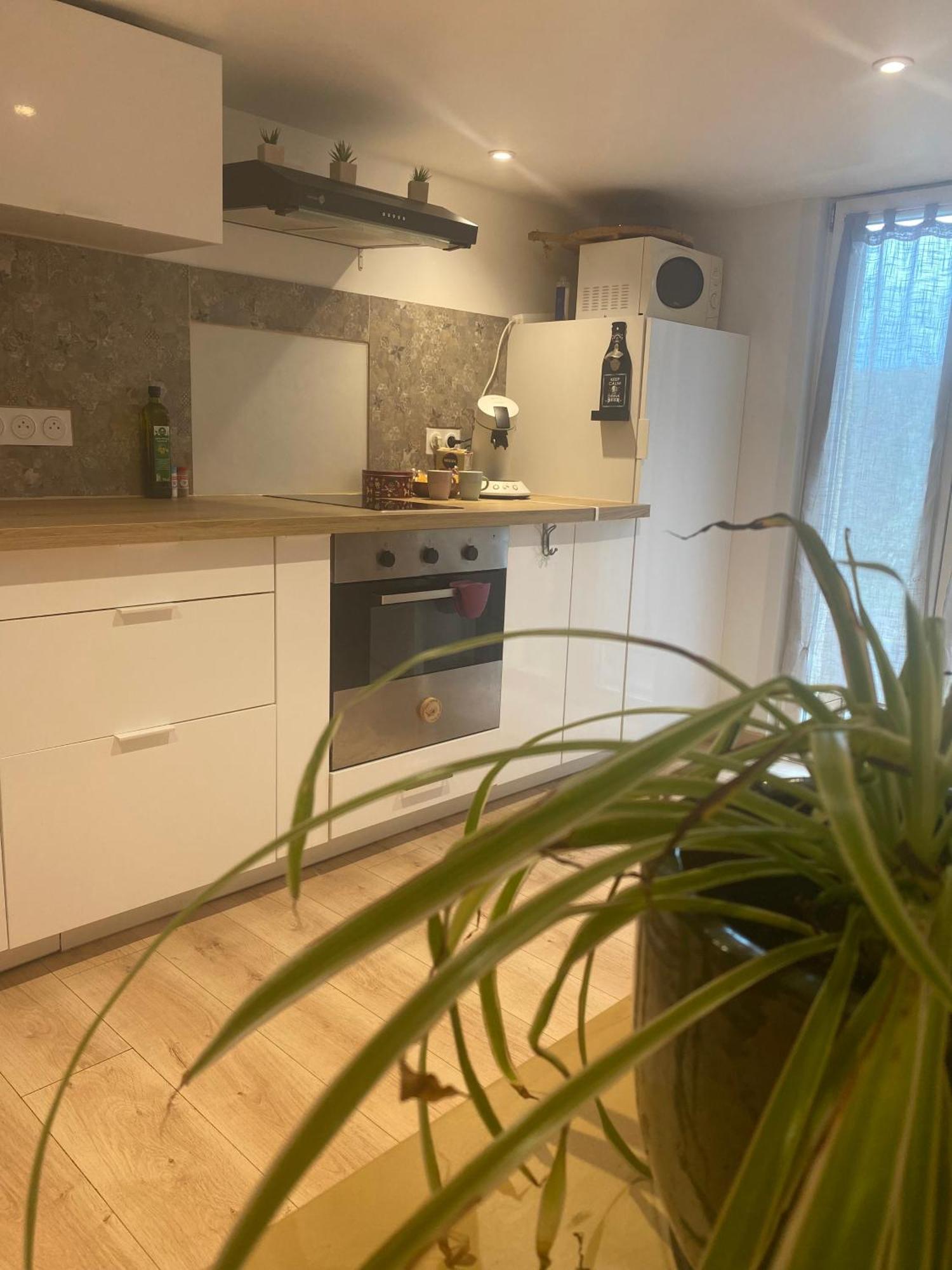 Apartment Le Carolo Tournes